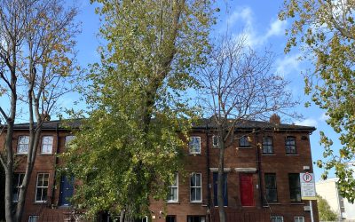 Apartment 3 , Auburn, Ballsbridge, Dublin 4, D04C642